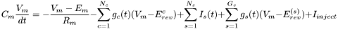 \[ C_m \frac{V_m}{dt} = -\frac{V_m-E_m}{R_m} - \sum_{c=1}^{N_c} g_c(t) ( V_m - E_{rev}^c ) + \sum_{s=1}^{N_s} I_s(t) + \sum_{s=1}^{G_s} g_s(t)(V_m-E_{rev}^{(s)}) + I_{inject} \]
